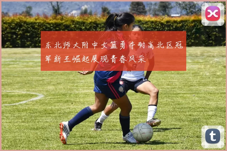 东北师大附中女篮勇夺耐高北区冠军新王崛起展现青春风采