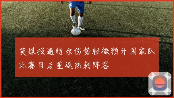 英媒报道特尔伤势轻微预计国家队比赛日后重返热刺阵容