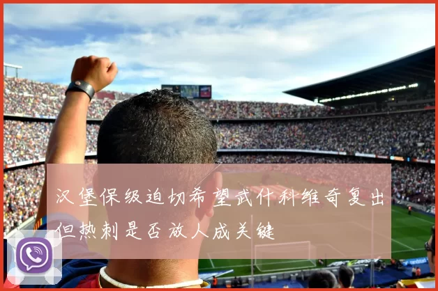 汉堡保级迫切希望武什科维奇复出但热刺是否放人成关键